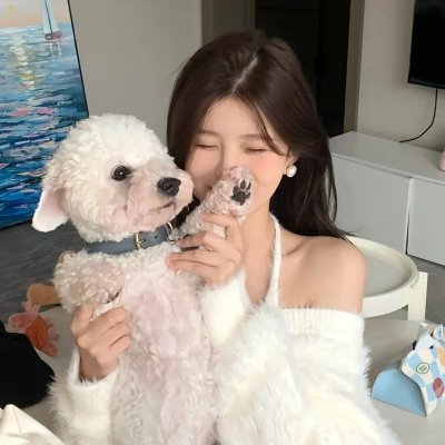 加菲猫2