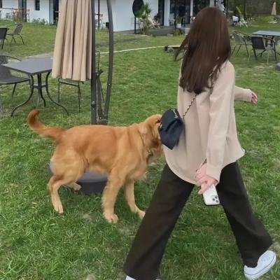 熊熊乐园第二部